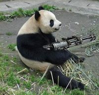 panda-army