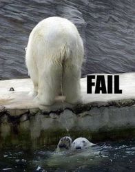 Bears_Fail