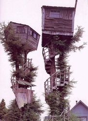 insane_tree_house