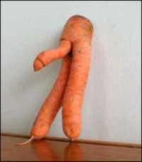 gross_carrot