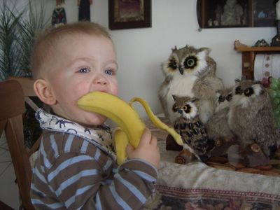 Einar banani.